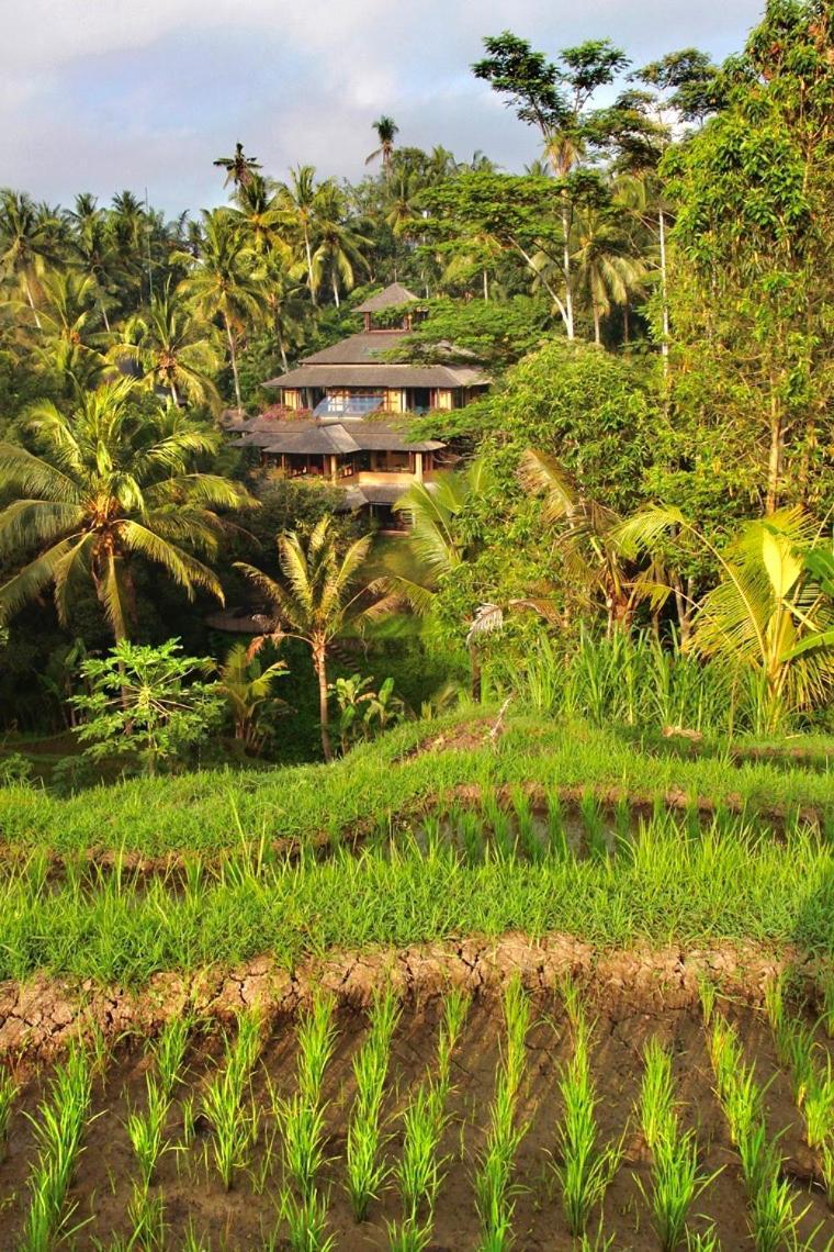 Lumina Residences And Wellness Sanctuary Ubud Esterno foto
